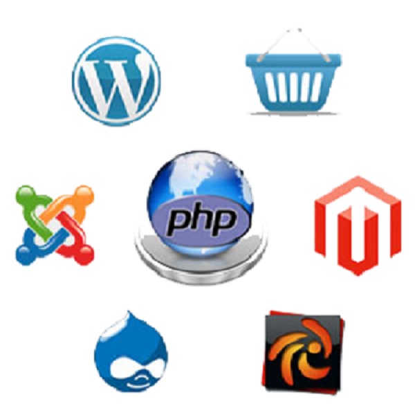 Best Web Design and Development Company in Indirapuram